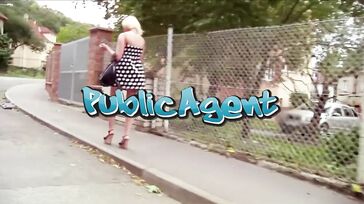 Public Agent